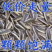 买一斤送一斤【发两斤】新鲜原味炒熟细长葵花籽零食必备年货