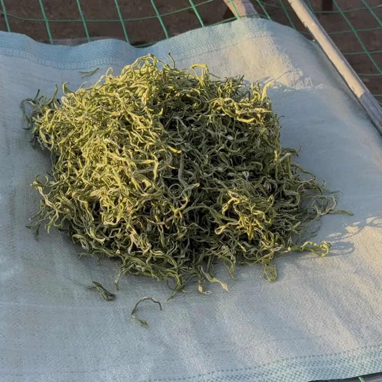 农家自然晾晒干豆角丝