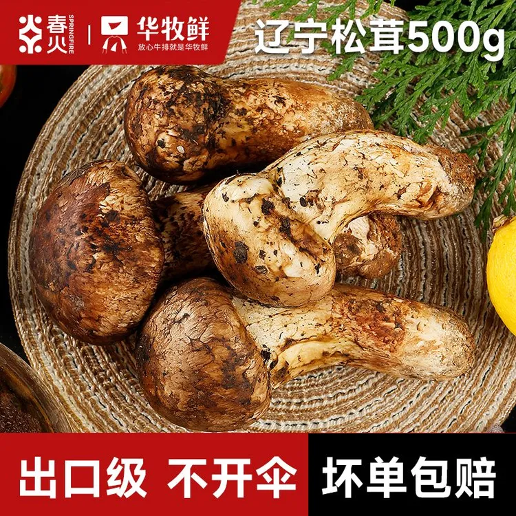 【达人专属】华牧鲜生态松茸云南煎烤炸鲜美松茸500G