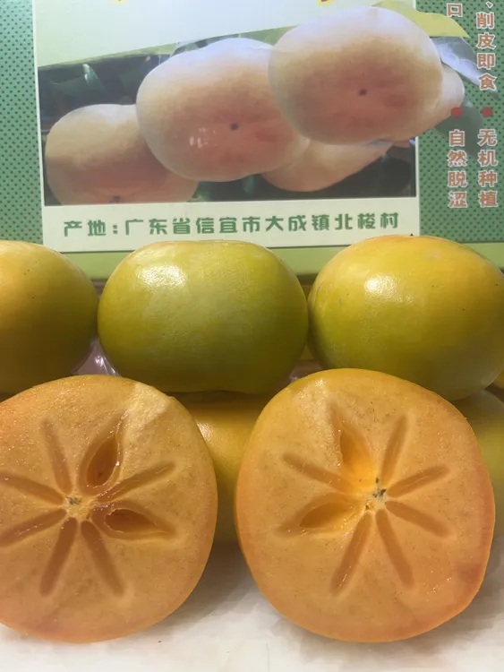 广东信宜大成北梭甜柿