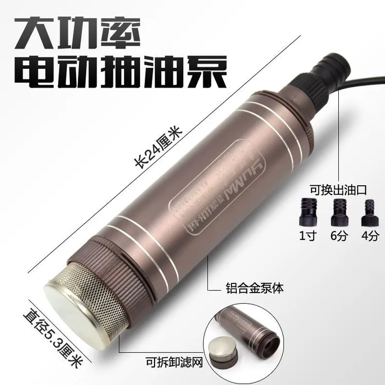 新款大功率150W抽水抽油泵12伏24伏220伏油水两用洗车浇菜泵水泵