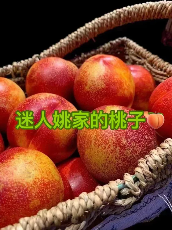 砀山自家果园黄肉油桃