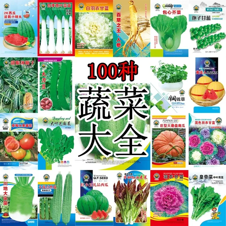 蔬菜种子香菜番茄辣椒菠菜黄瓜青菜籽生菜萝卜白菜四季适合孑大全