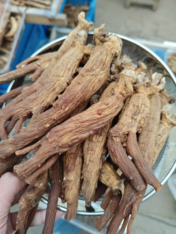高丽参（12支一斤）无糖无硫磺7年高丽参