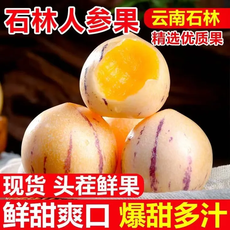 七彩云南石林正宗人参果特大果黄心当季孕妇低糖新鲜应季罕见水果