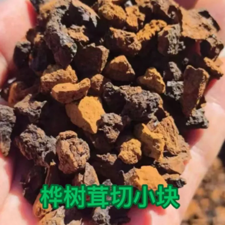 桦树茸 白桦茸茶桦褐孔菌桦树泪切块使用净重250克包邮