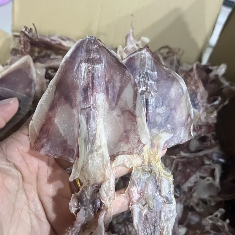 本港新鲜鱿鱼干可香煎手撕烧烤炒菜煲粥的营养海产品（捡漏粗片）