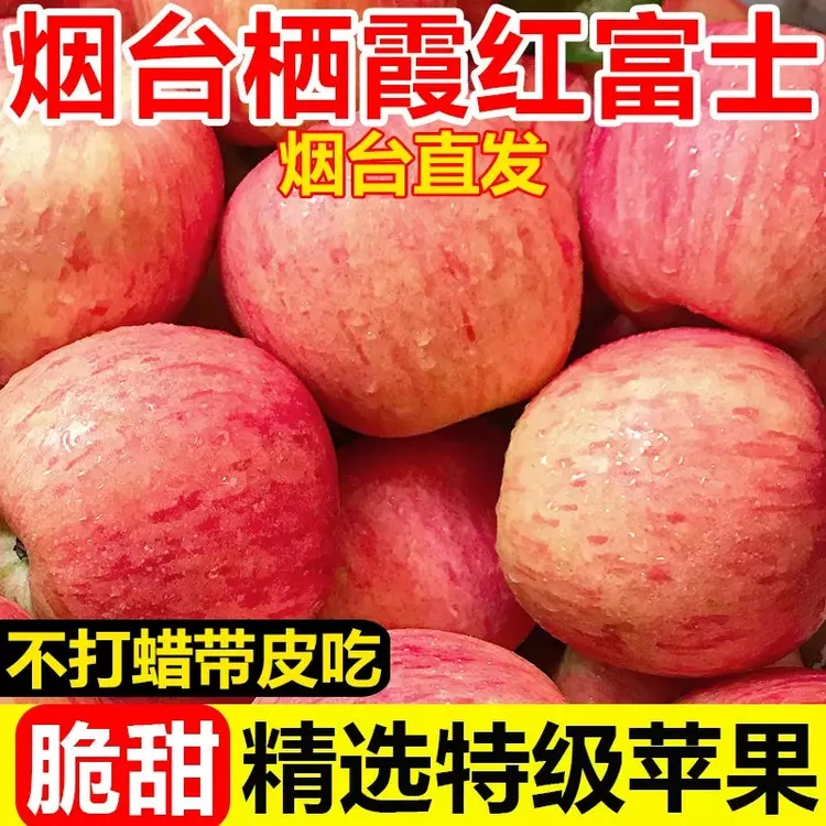 【听听专属】产地直发山东栖霞红富士苹果5斤天然水果脆甜多汁