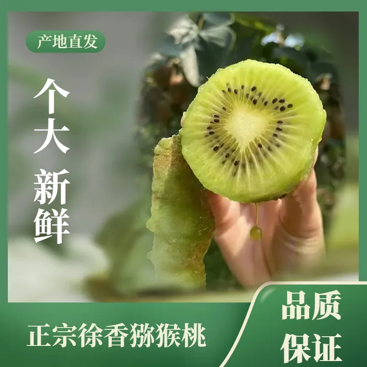 催熟放软食用 陕西眉县正宗新鲜软糯徐香绿心猕猴桃维C水果礼盒装