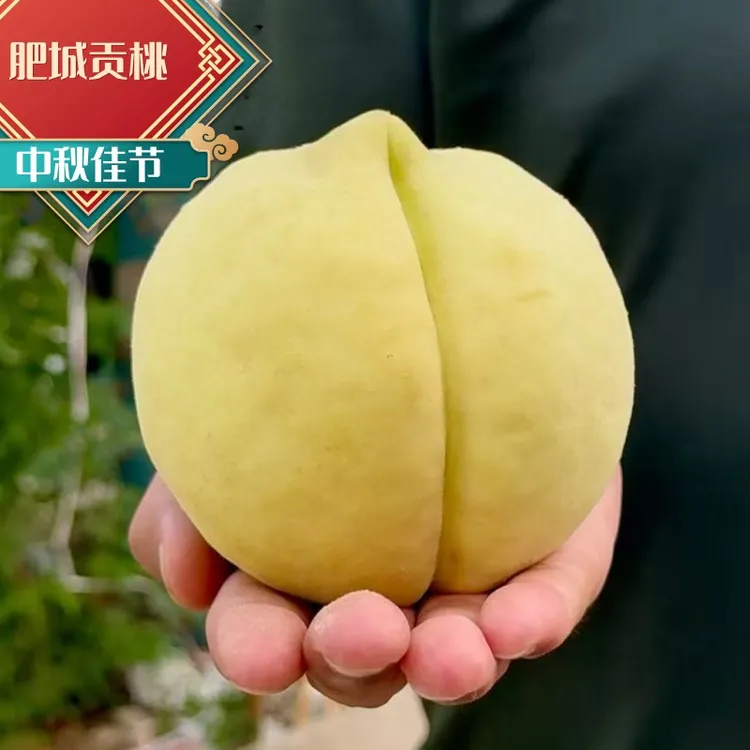 【贡桃】正宗山东肥桃贡桃水蜜桃冬桃寿桃水蜜桃新鲜水果热卖