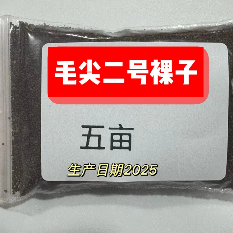 毛尖二号5亩裸子/颗粒适用于海拔2400以下 Jm