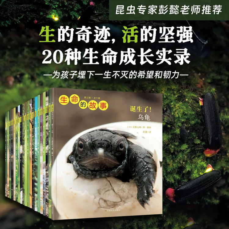 生命的故事（精选版共20册）彭懿荐儿童昆虫百科全书科普绘本3-99岁