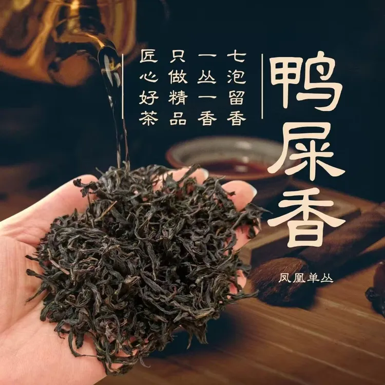潮州鸭屎香单丛奶韵奶韵