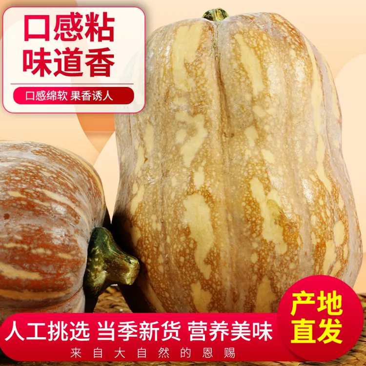 正宗花生金香南瓜婴儿辅食粉糯香甜