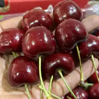 【老沙严选】波板 J 智利海运拉宾斯车厘子5斤内附果径卡