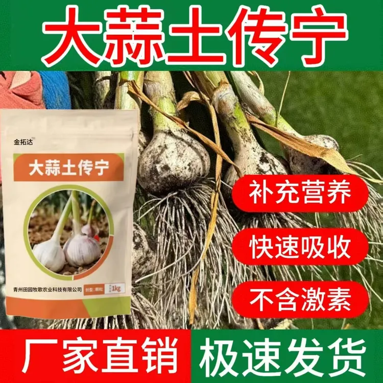 大蒜土传宁大蒜种植专用因生根壮苗艾调理土壤提质增产微生物肥