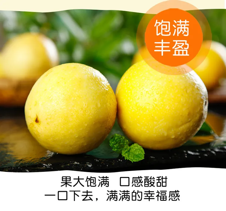 正宗钦蜜9号黄金百香新鲜孕妇当季水果现摘现发百香果原浆九号