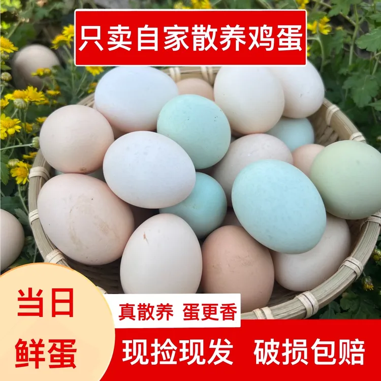 【30个粉绿混搭】正宗江汉平原农家散养土鸡蛋
