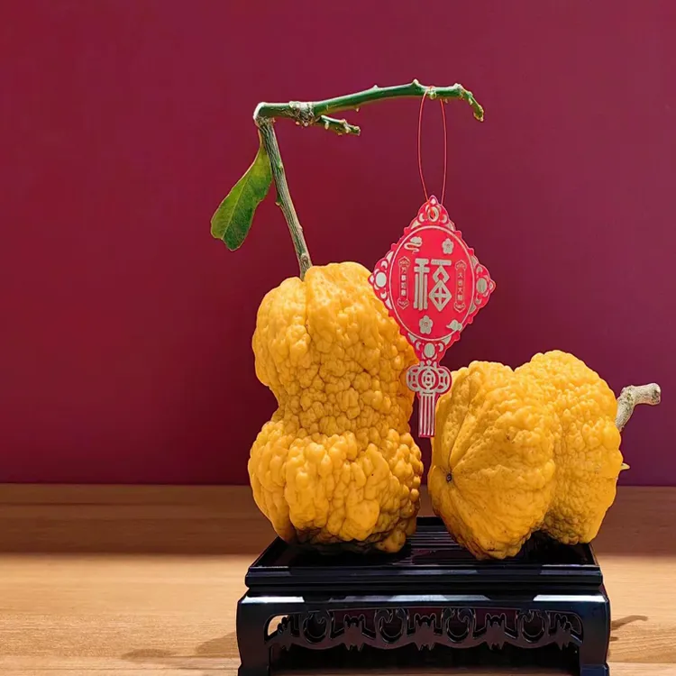 新鲜现摘云南香橼果可闻香可盘玩的特色水果