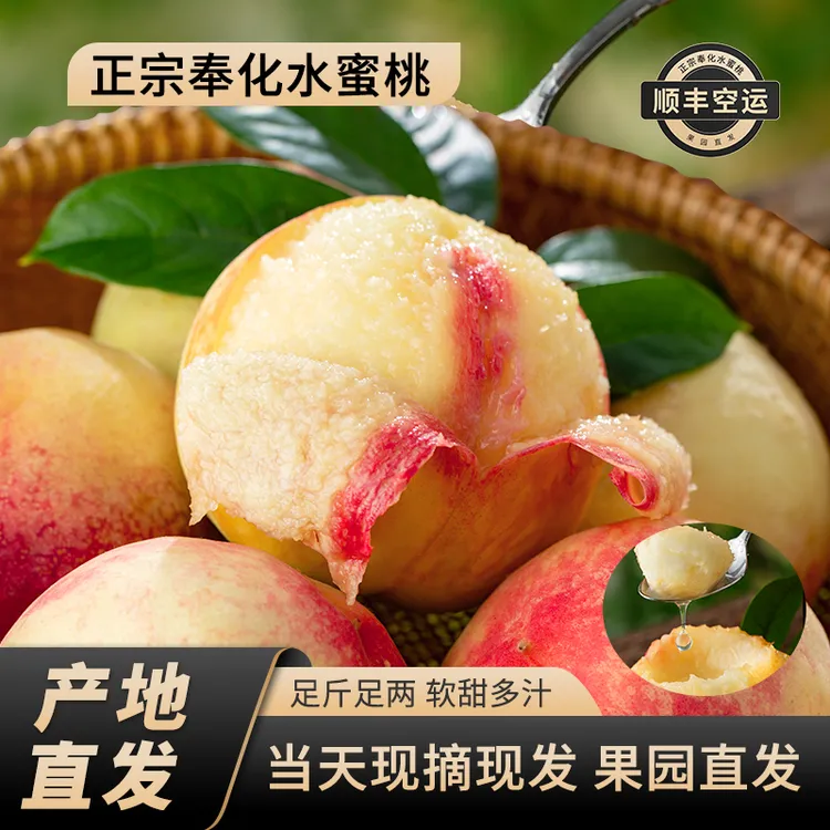 正宗宁波奉化水蜜桃新鲜现摘当季软桃多汁产地直发
