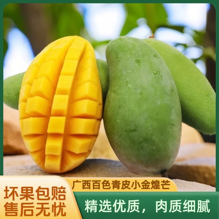 【生果发货 放软食用】广西百色头茬金煌芒带箱五斤装 热带新鲜芒果