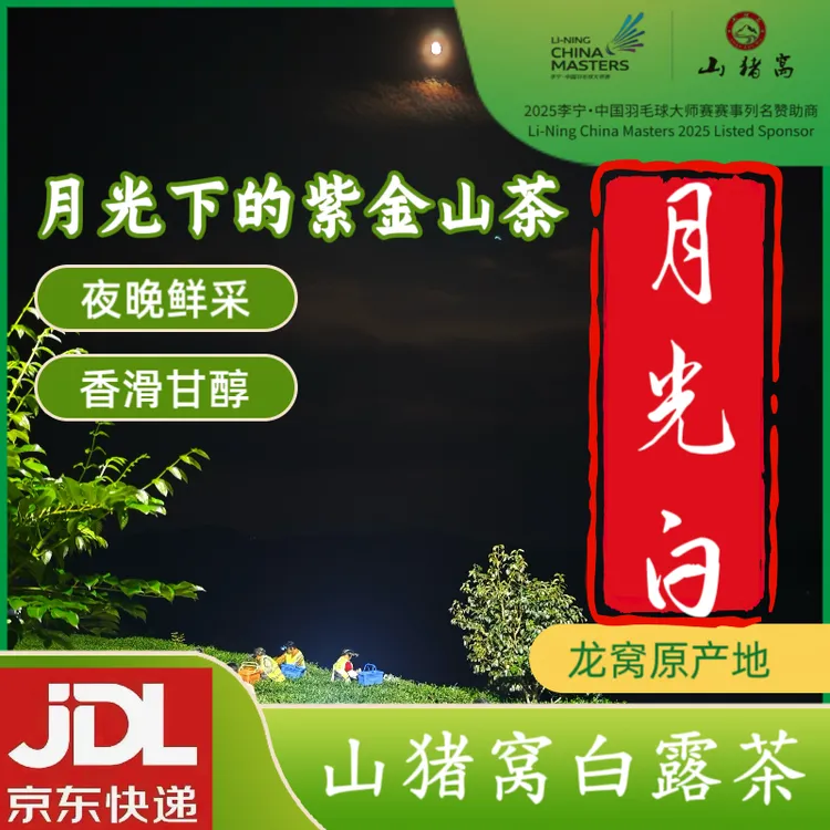 山猪窝月光白｜9月7日当晚鲜采｜高山云雾绿茶｜鲜香滑甘醇白露茶