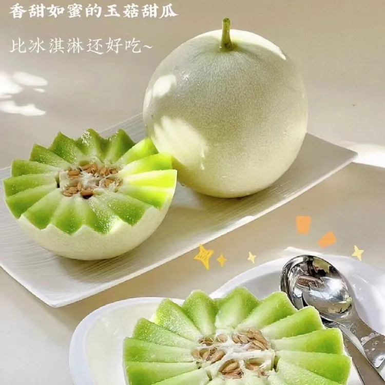 【二茬玉菇】本地甜瓜顶级大瓜白瓜青皮绿肉玉茹蜜瓜送礼佳品包邮