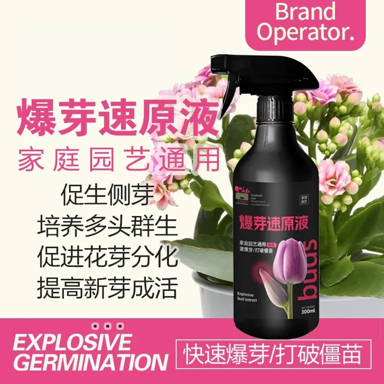 【爆芽速原液】多芽促芽催芽分化叶插花植物花卉绿植三角梅兰花通用商品图