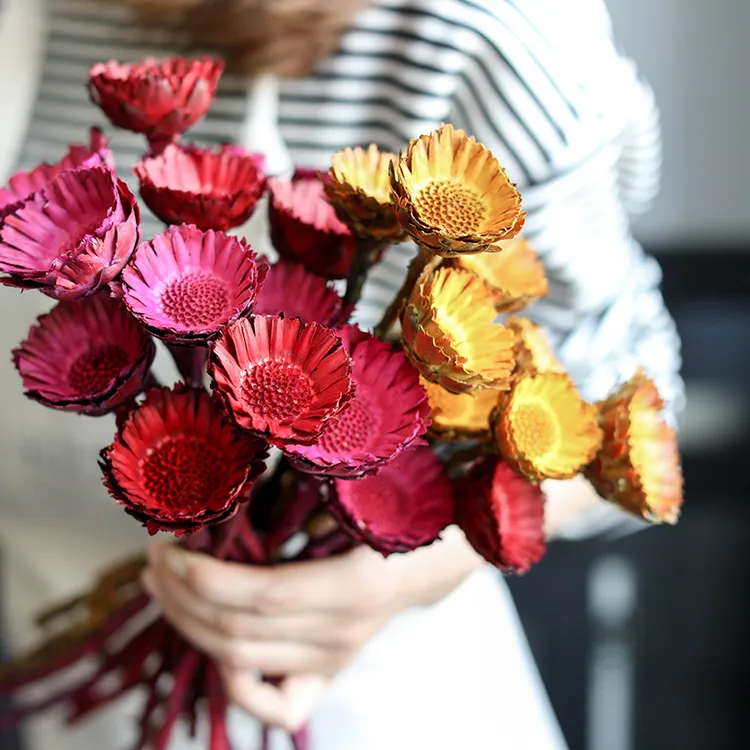进口非洲北欧天然干花真花婚庆家居装饰品客厅摆设摄影道具太阳花