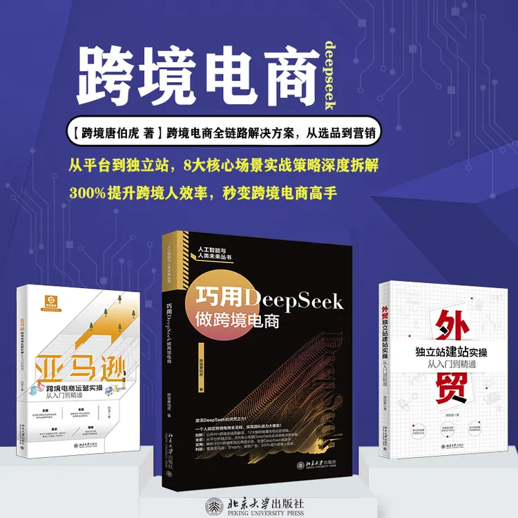 【自选】巧用DeepSeek做跨境电商&外贸独立站建站&亚马逊跨境电商