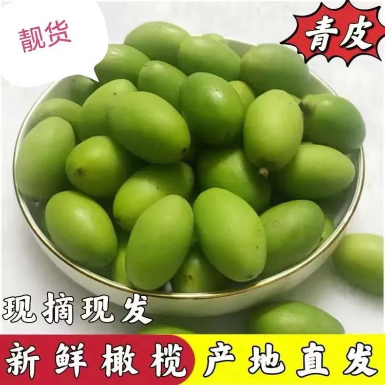 潮汕金灶特产冰糖橄榄果新鲜二号甜种柑榄生水果青果生吃无渣煲汤
