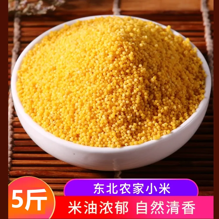 【热卖产品】山地小米5斤黄小米熬粥