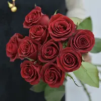 【禾韵山东】玫昂红自有基地鲜切花花束鲜花花材花卉同城