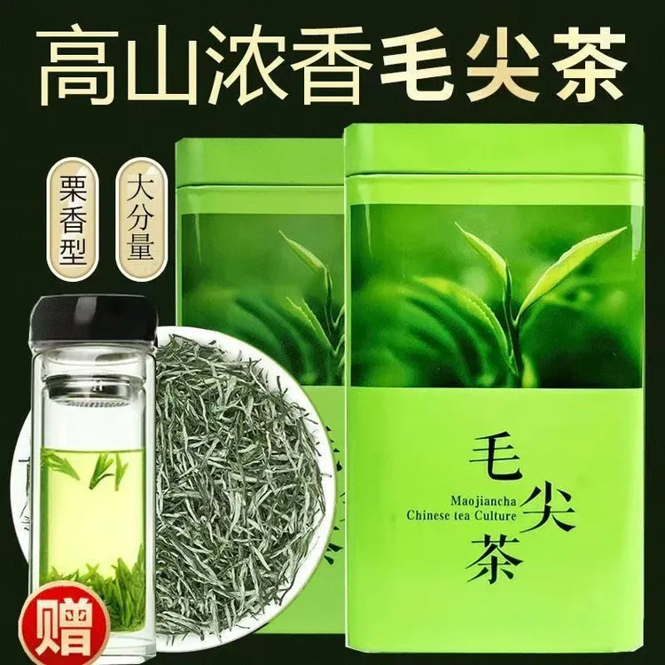 【正宗信阳毛尖茶】2025新茶信阳正宗毛尖茶叶绿茶浓香型春茶嫩芽叶