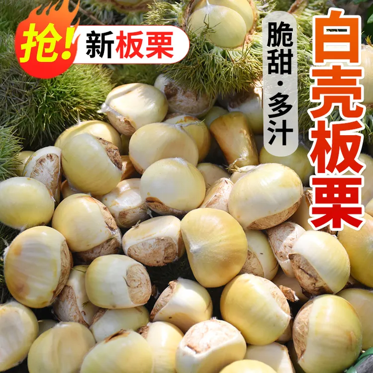 【新鲜嫩板栗】2025年新下树嫩壳板栗白壳栗子现摘香甜当季板栗