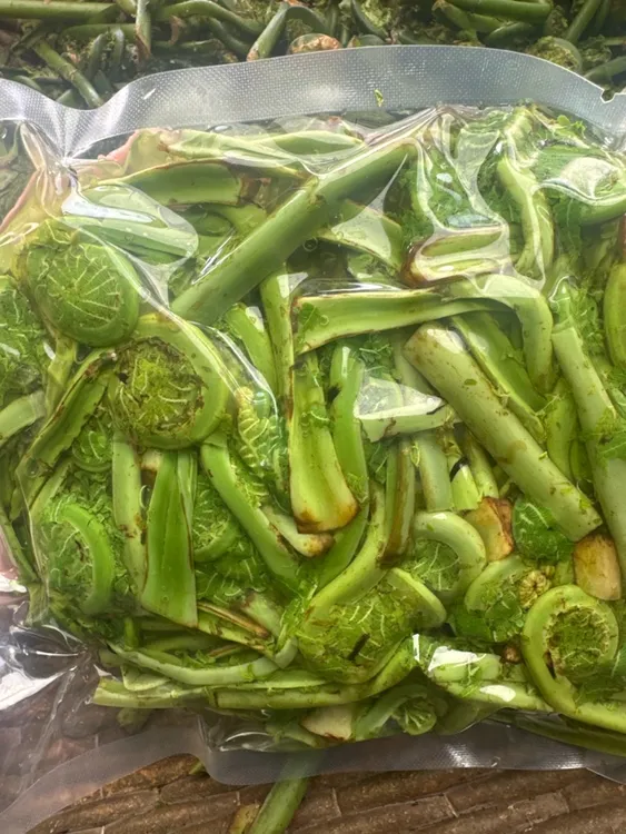 头茬黄瓜香广东菜不用盐山野菜新鲜现采东北特产保鲜带水冷冻发货