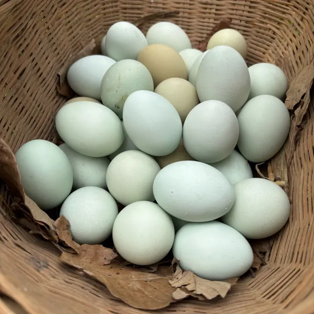 农家散养土鸡蛋现拣现发新鲜鲜鸡蛋