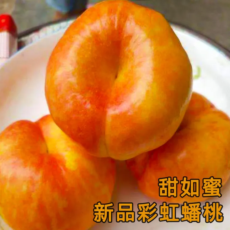 【爆甜】蒙阴彩虹蟠桃新鲜应季彩虹油蟠桃皮薄甜嫩多汁整箱