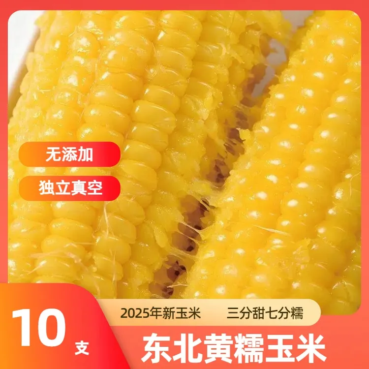 [试吃3根共10根黄玉米]严选头茬东北黄糯玉米糯香甜真空包装3.5斤