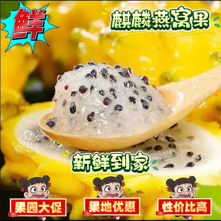 【果园降价】海南新鲜热带麒麟燕窝果黄皮白心火龙果孕妇老少水果