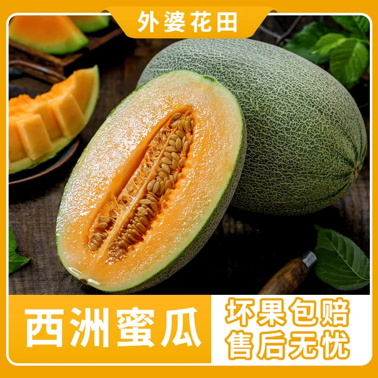 【外婆花田】海南西洲蜜瓜晓蜜25号5-6斤源头直采自然成熟