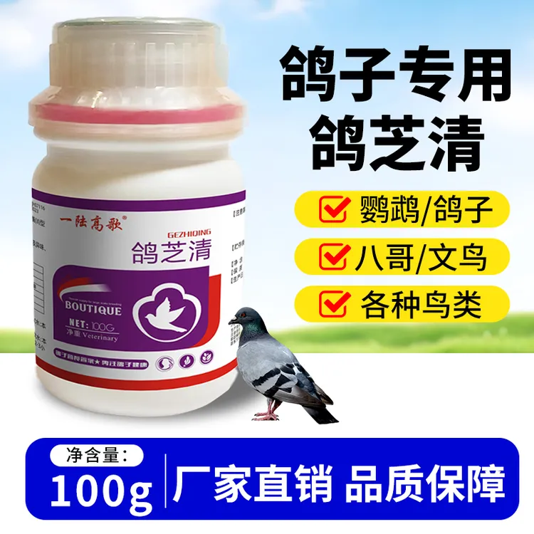 一陆高歌鸽芝清鸽子营养赛鸽肉鸽宠物鸽子健康养鸽饲料添加剂