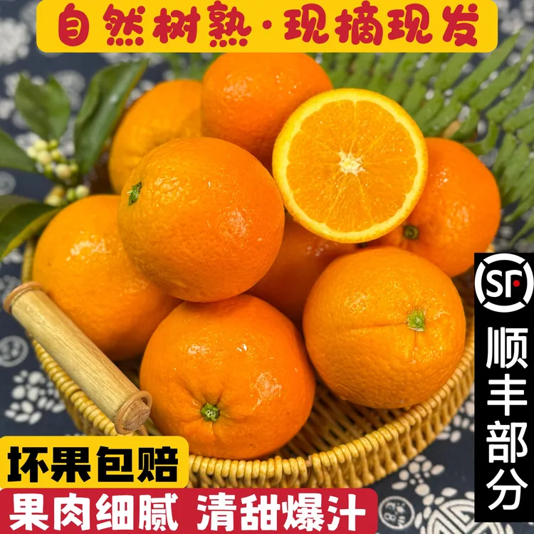 正宗老树果伦晚脐橙现摘带箱5/10斤新鲜水果橙子