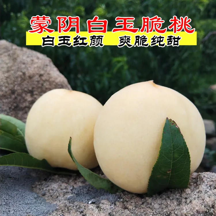 沂蒙高山白玉蜜桃 4.5斤（脆甜）