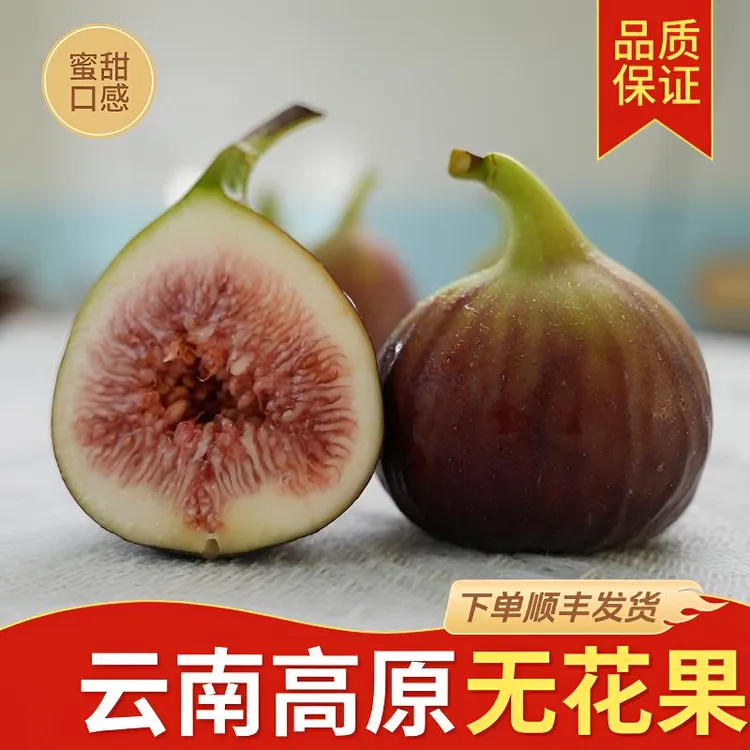 【顺丰快递】云南新鲜红皮无花果当季水果现摘现发香甜软糯