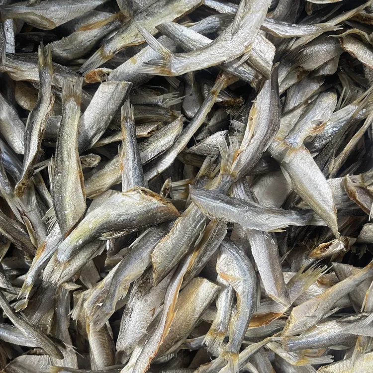 去头微瑕参条鱼7-10cm左右一斤100多条