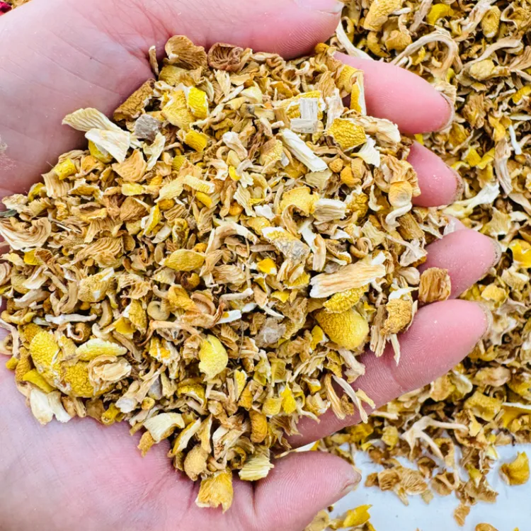 东北  榆黄蘑 干货 饺子馅