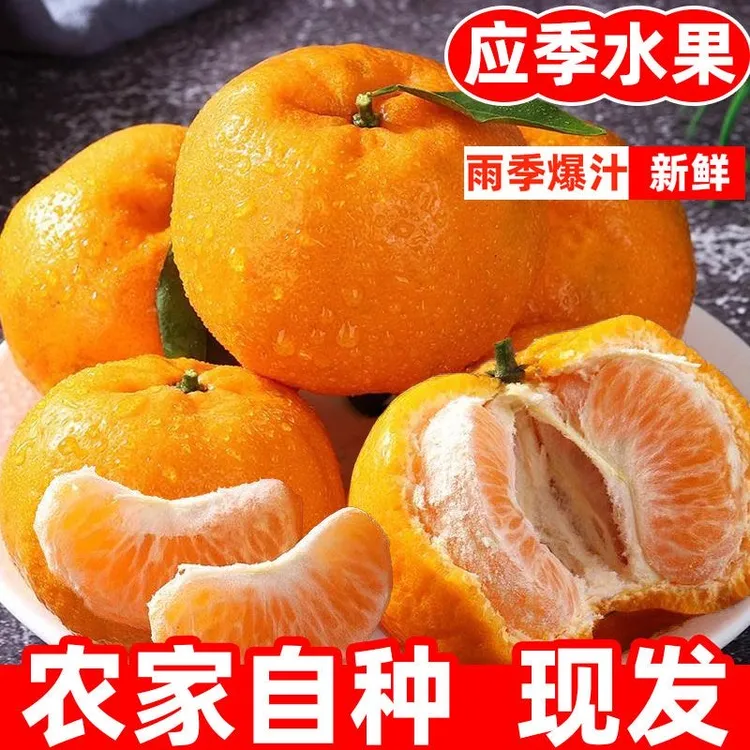 正宗宜昌清江老树大椪柑脆甜核少爽口爆汁芦柑孕妇当季新鲜水果