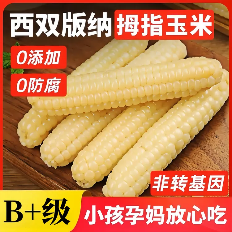 云南版纳拇指玉米香糯小玉米傣家甜黏手指玉米宝宝小玉米软糯香甜