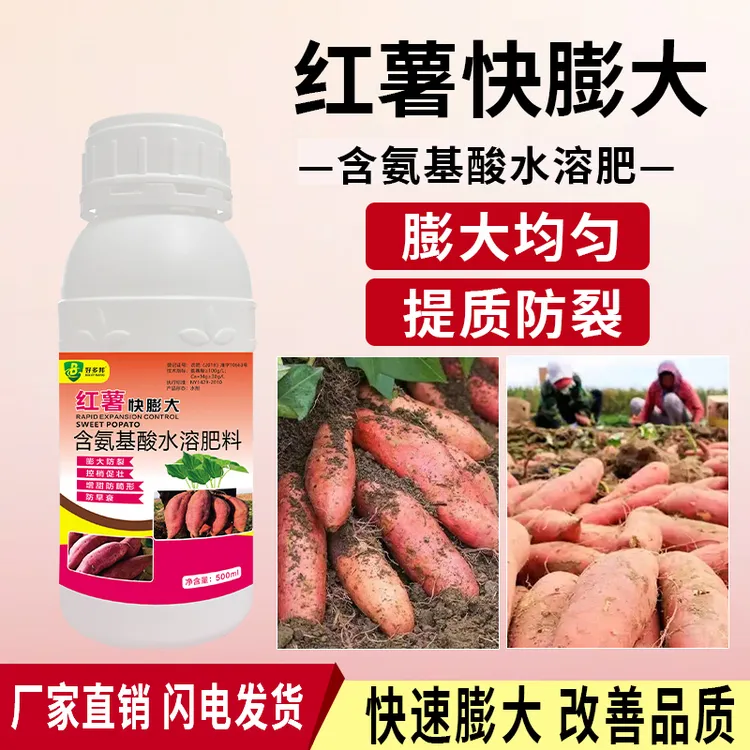 红薯快膨大红薯补充营养个头均匀膨大表面光滑无裂果无空心肥料